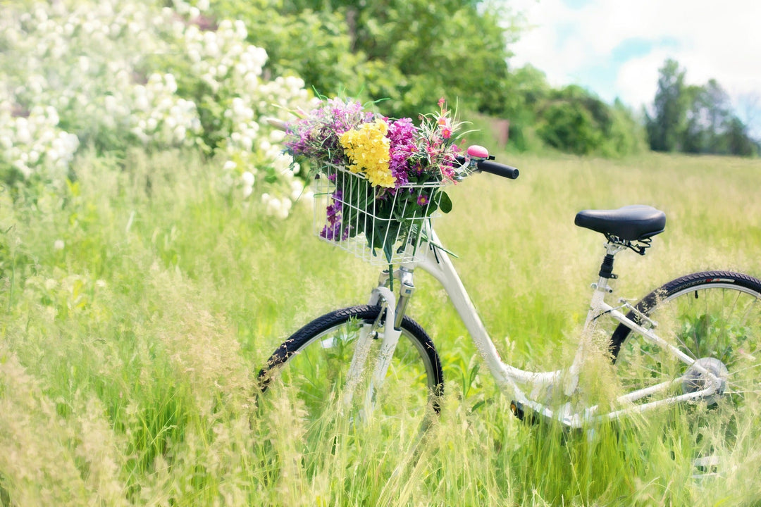 Es ist endlich Sommer!