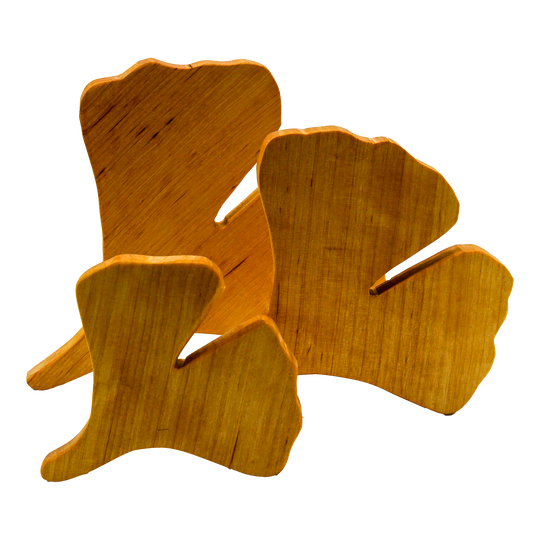 Drei Ginkgo Blätter in drei unterschiedlichen Größen, die hintereinander versetzt aufgestellt sind.