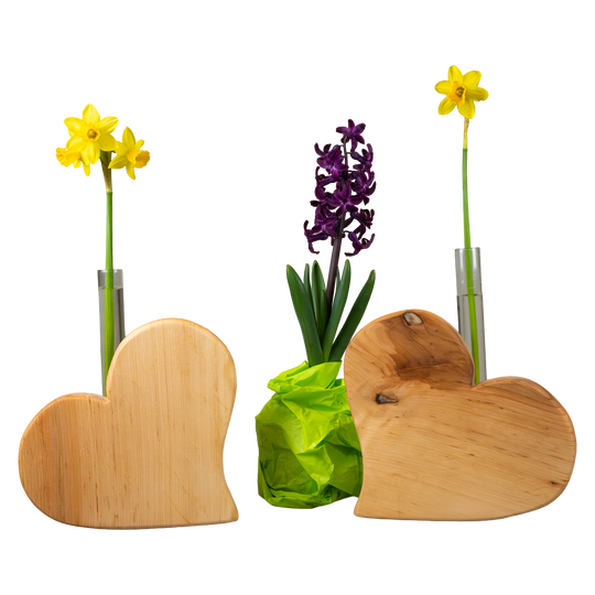 Zwei herzförmige Holzvasen mit Glasröhrchen, jeweils mit gelben Narzissen bestückt, flankieren eine lila Hyazinthe im grünen Papier, vor weißem Hintergrund dekorativ arrangiert