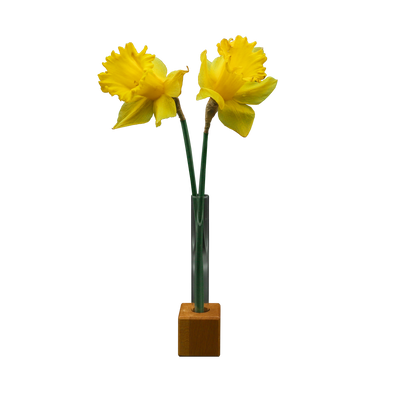 Würfel-Vase